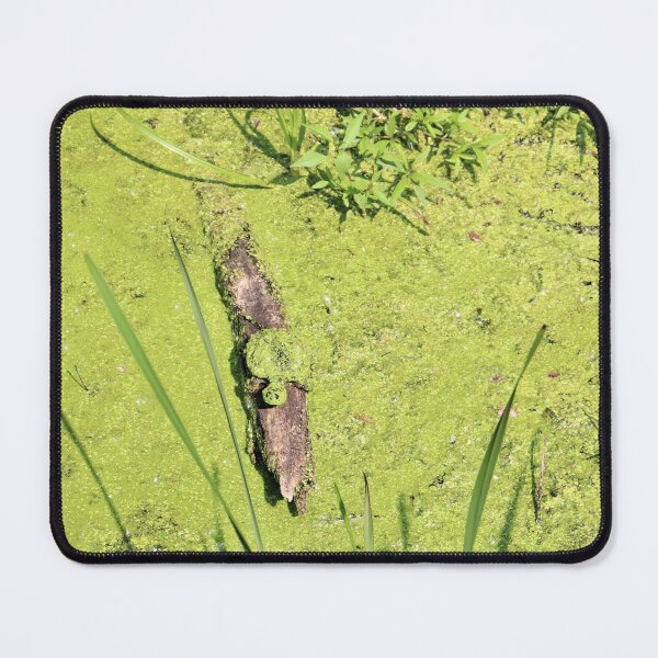 Item preview, Duckweed Disguise designed and sold by CJGrimes.