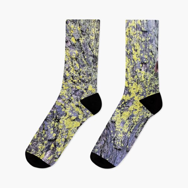 Item preview, Moss on Maple Tree designed and sold by Scott and Mary Schneider art_photography.