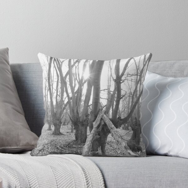 Item preview, Ancient Woodland - Epping Forest. designed and sold by Christian Moss.