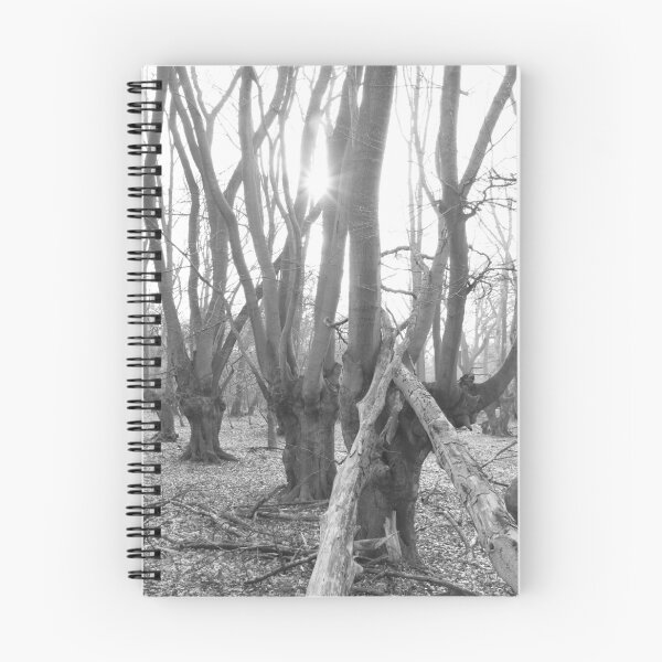 Item preview, Ancient Woodland - Epping Forest. designed and sold by Christian Moss.
