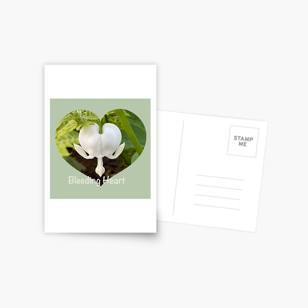 Item preview, Flower love - White Bleeding Heart designed and sold by AnneADArt.