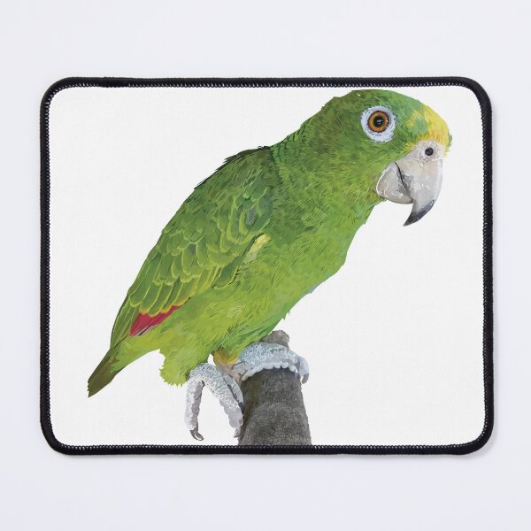 Item preview, The Amazon royal parrot designed and sold by obscurite.