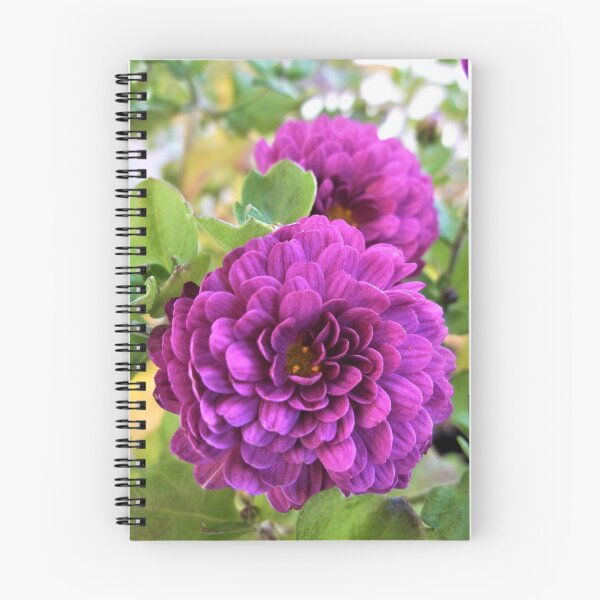 Item preview, Purplish Chrysanthemums designed and sold by Scott and Mary Schneider art_photography.