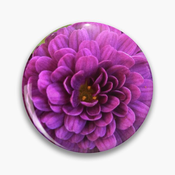 Item preview, Purplish Chrysanthemums designed and sold by Scott and Mary Schneider art_photography.