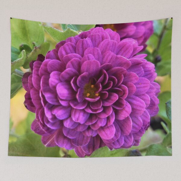 Item preview, Purplish Chrysanthemums designed and sold by Scott and Mary Schneider art_photography.