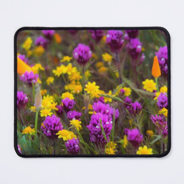 Item preview, Yellow and Purple designed and sold by Alla Gill.