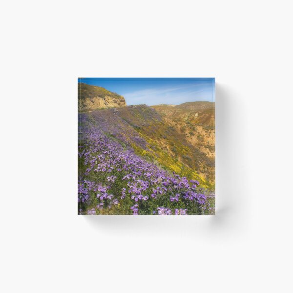 Item preview, Road with flowers designed and sold by Alla Gill.