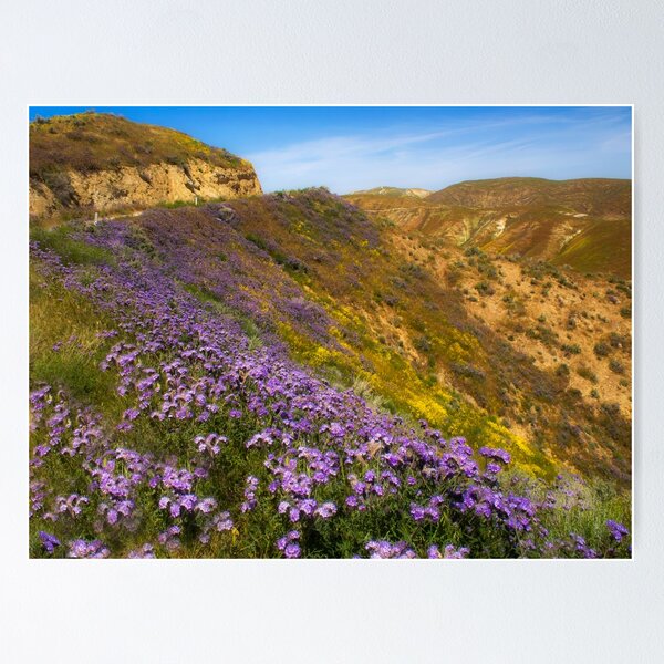 Item preview, Road with flowers designed and sold by Alla Gill.