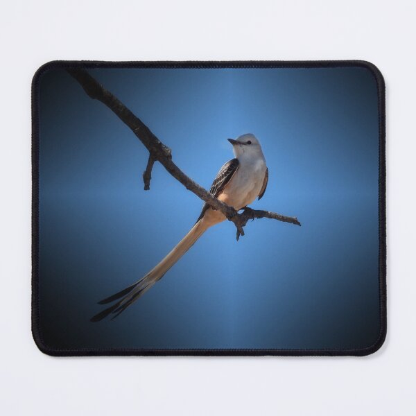 Item preview, Flycatcher designed and sold by Alla Gill.