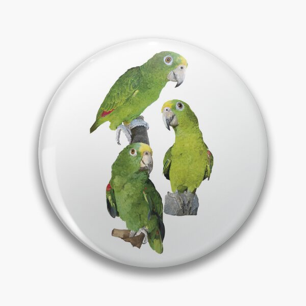 Item preview, The Amazon royal parrot designed and sold by obscurite.