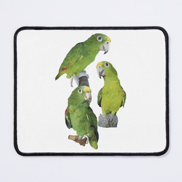 Item preview, The Amazon royal parrot designed and sold by obscurite.