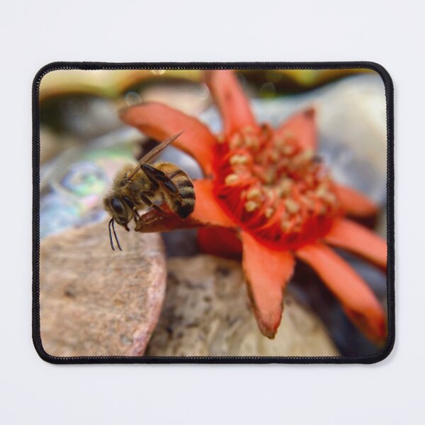 Item preview, Cute honeybee on a red pomegranate flower surrounded by shells designed and sold by Katrina Valuyeva.