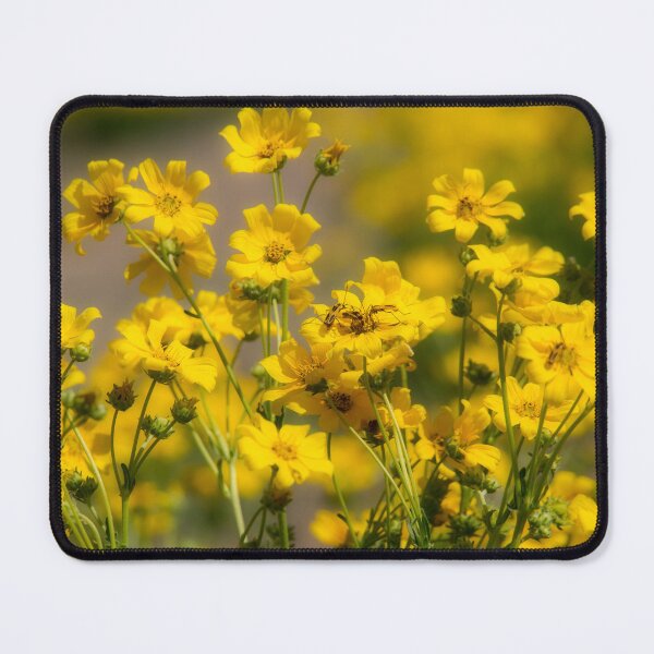 Item preview, Yellow Daisies designed and sold by Alla Gill.