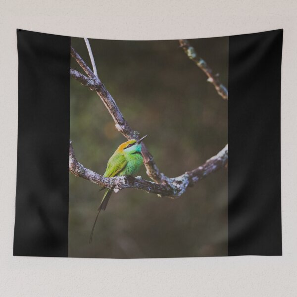 Item preview, Abejaruco verde designed and sold by kasthu.