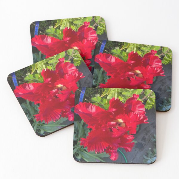 Item preview, Red parrot tulip designed and sold by AlpacaSparkles.