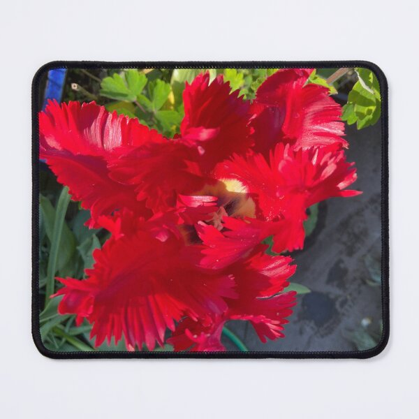 Item preview, Red parrot tulip designed and sold by AlpacaSparkles.