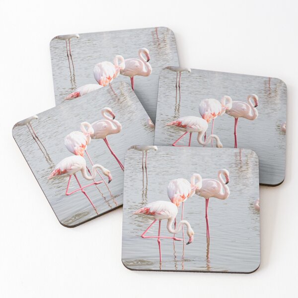 Item preview, Flamingo Group Portrait  designed and sold by kasthu.