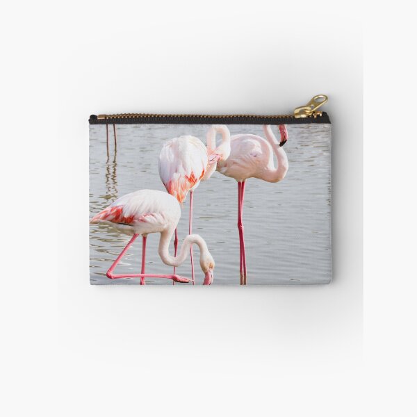 Item preview, Flamingo Group Portrait  designed and sold by kasthu.