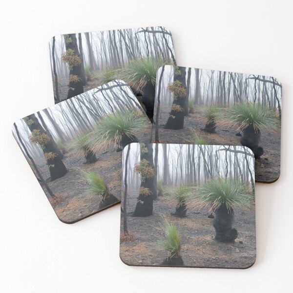 Item preview, Resilient grass trees after fire designed and sold by HaniaAnia.