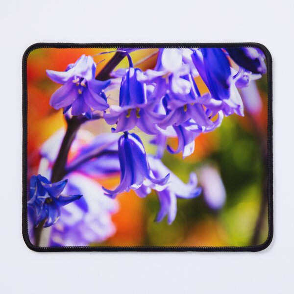 Item preview, Bluebell designed and sold by JEZ22.