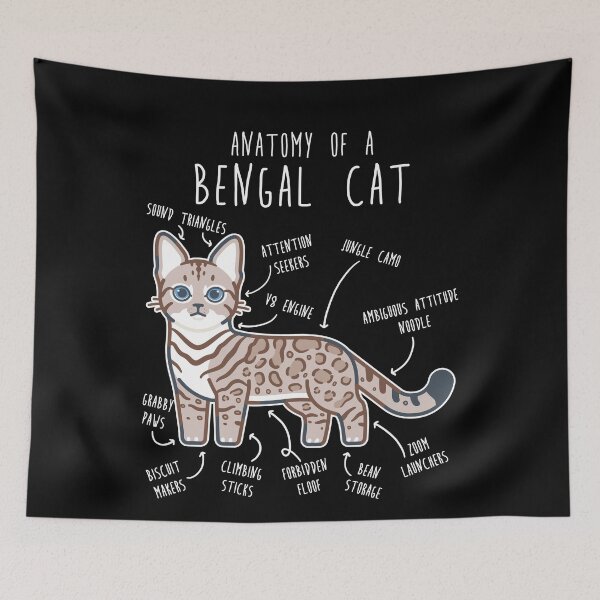 Item preview, Snow Bengal Cat Seal Lynx Anatomy designed and sold by Clara Hollins.
