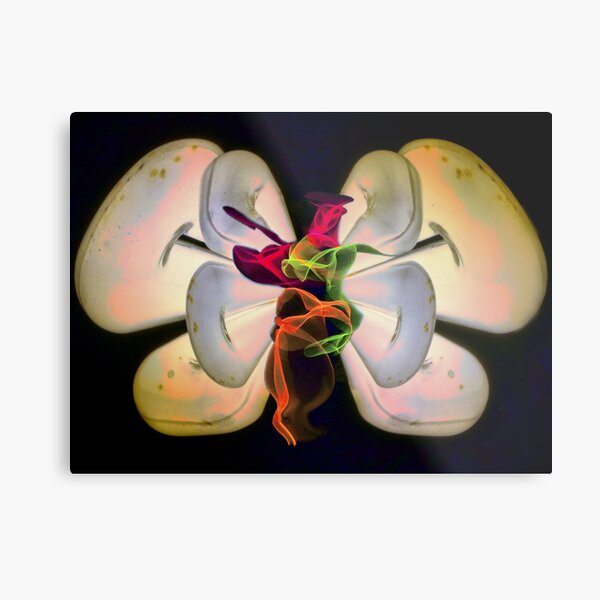 Light butterfly 4 Metal Print