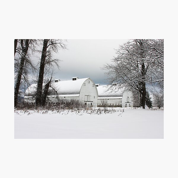 Item preview, Twin Barns designed and sold by Julia Washburn.