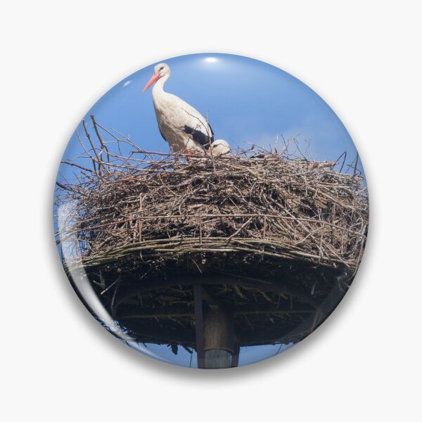 Item preview, White stork (Ciconia ciconia) on nest, Ritterhude, Lower Saxony, Germany designed and sold by Torsten  Krüger.