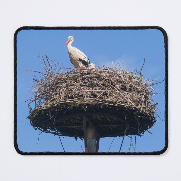 Item preview, White stork (Ciconia ciconia) on nest, Ritterhude, Lower Saxony, Germany designed and sold by Torsten  Krüger.