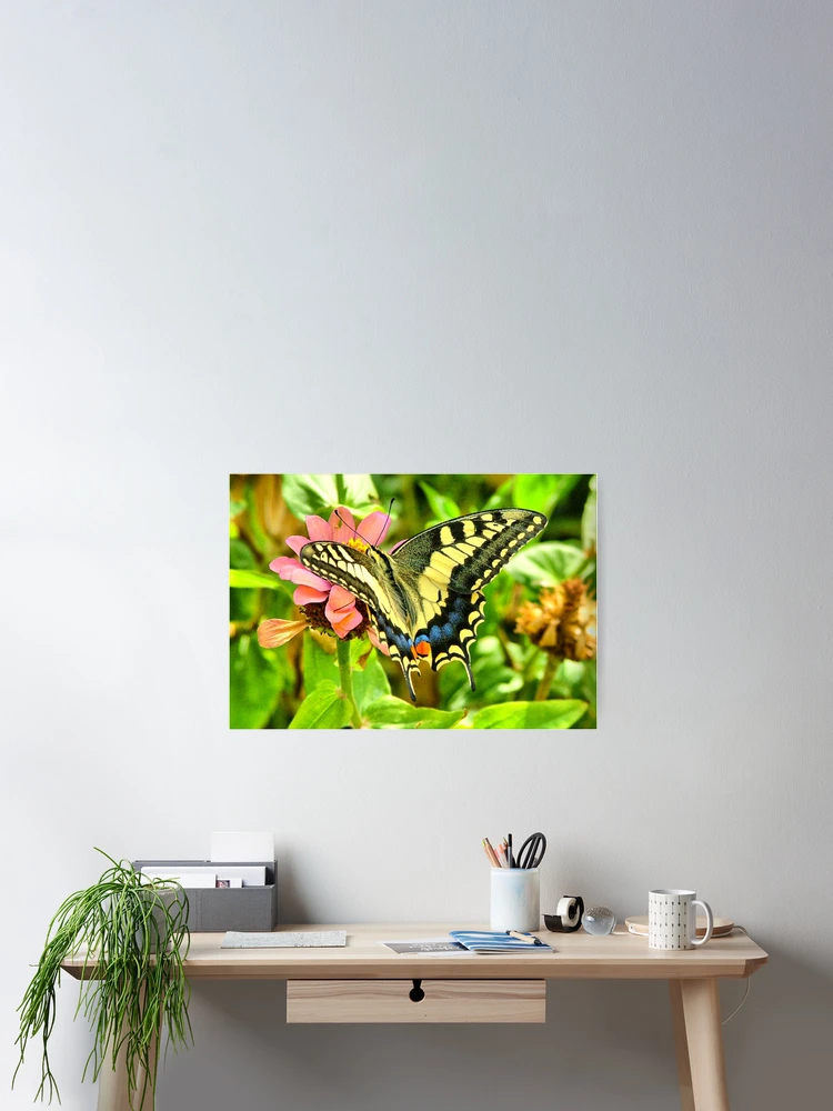 Thumbnail 2 of 3, Poster, Springtime designed and sold by Antonello Incagnone "incant".