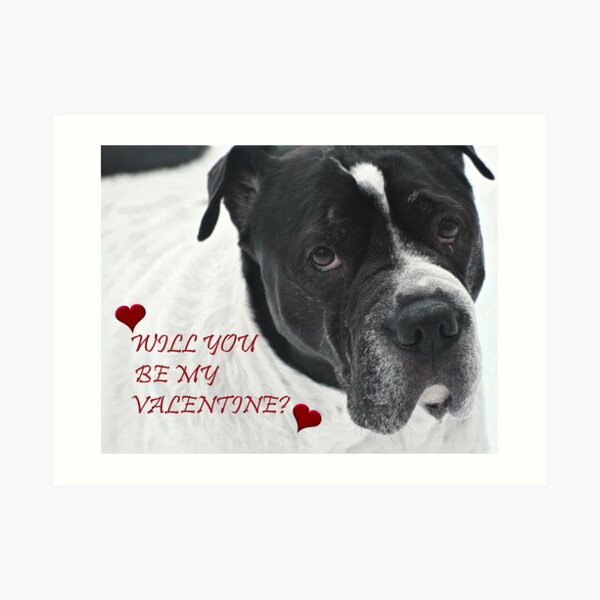 WILL YOU BE MY VALENTINE? FROM SNOOPY Art Print