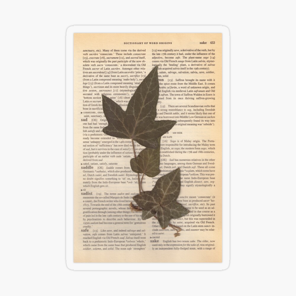 Ivy leaf on an old book page