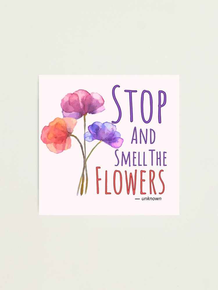 Stop To Smell The Flowers No. 1 by Steven Harrington