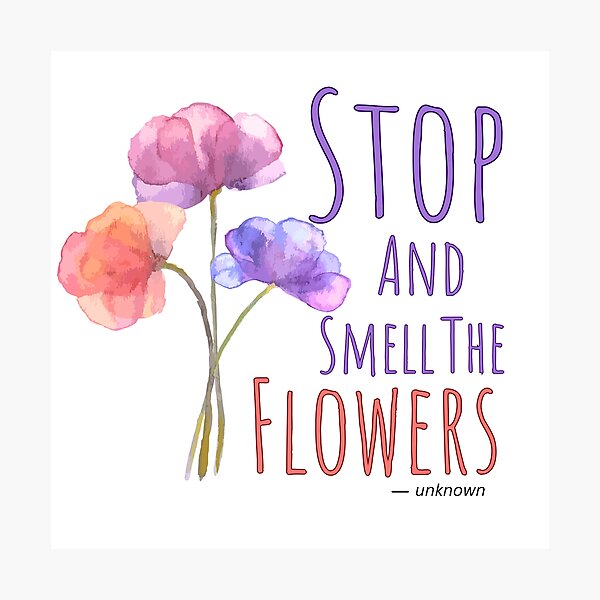 Stop and Smell the Flowers,Watercolor Flower Design,Florist Stop and Smell the Flowers,Watercolor Flower Design,Florist