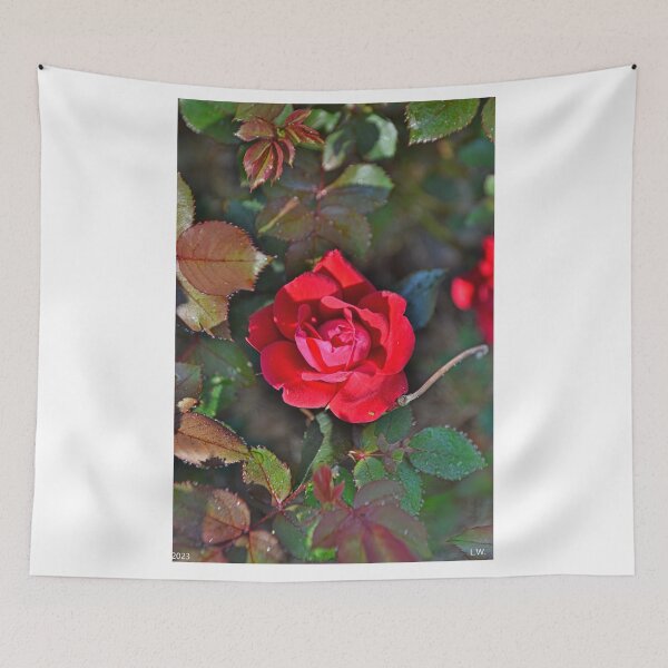 Item preview, A Single Knockout Rose designed and sold by LisaWootenPhoto.