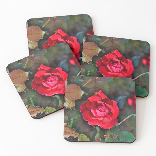Item preview, A Single Knockout Rose designed and sold by LisaWootenPhoto.
