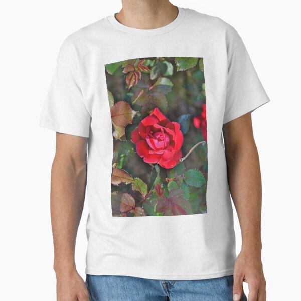 Item preview, A Single Knockout Rose designed and sold by LisaWootenPhoto.