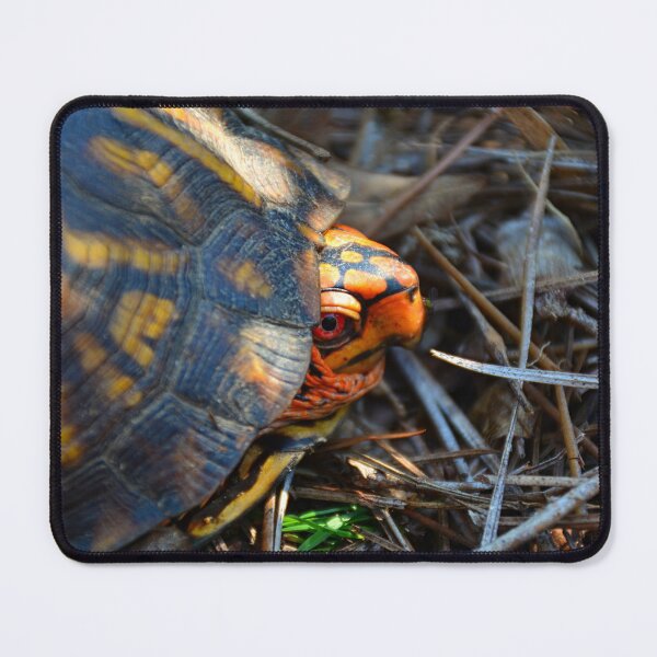 Item preview, Peek A Boo Box Turtle designed and sold by LisaWootenPhoto.