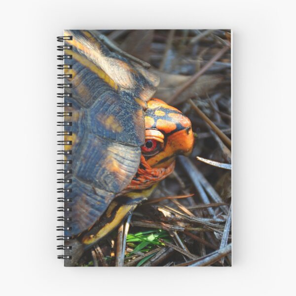 Item preview, Peek A Boo Box Turtle designed and sold by LisaWootenPhoto.