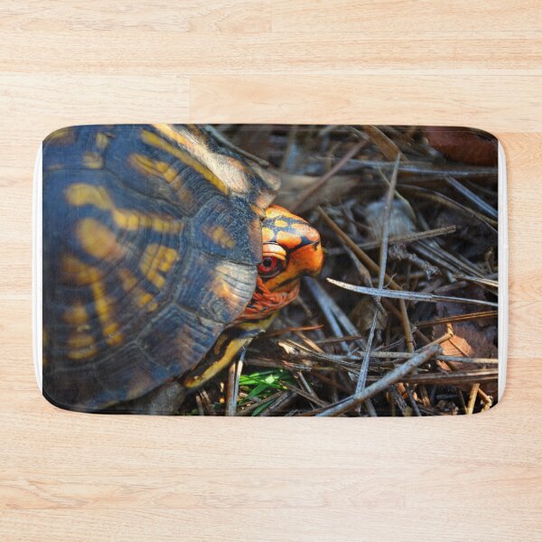 Item preview, Peek A Boo Box Turtle designed and sold by LisaWootenPhoto.