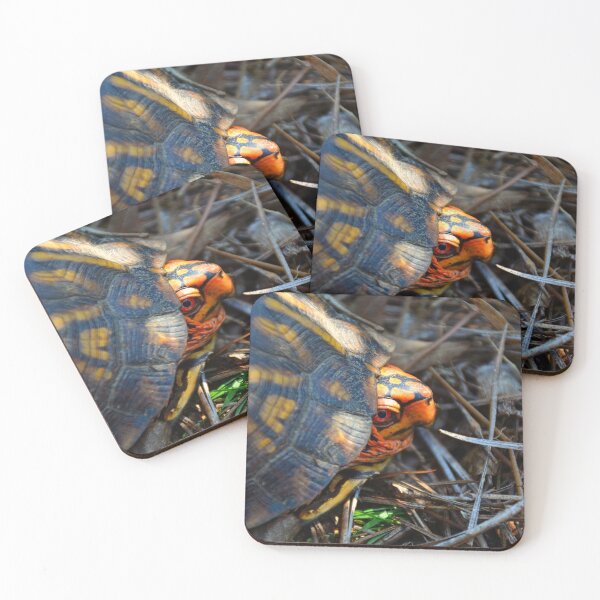 Item preview, Peek A Boo Box Turtle designed and sold by LisaWootenPhoto.
