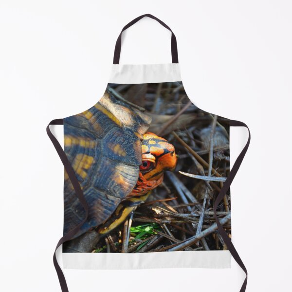 Item preview, Peek A Boo Box Turtle designed and sold by LisaWootenPhoto.