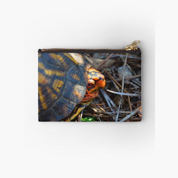 Item preview, Peek A Boo Box Turtle designed and sold by LisaWootenPhoto.