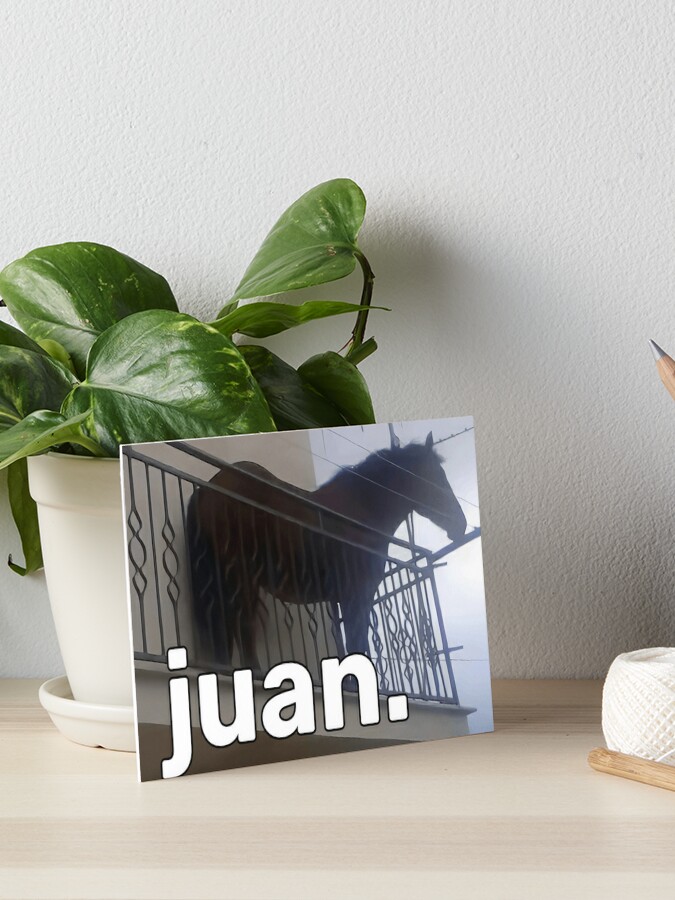 Juan Horse on Balcony Dank Meme