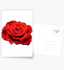 Red Rose Postcards