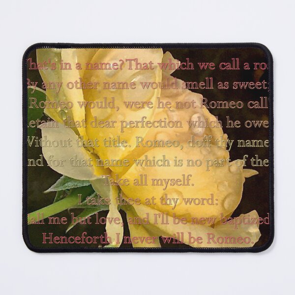 Item preview, Sweetness designed and sold by seventySIXart&photo .