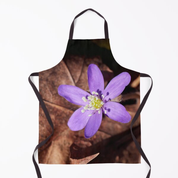 Item preview, Joyes of the spring. Hepatica designed and sold by Jouko Lehto Photography.