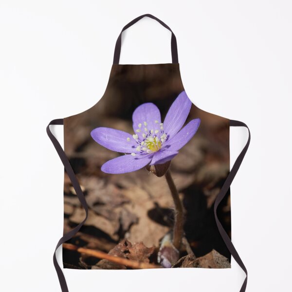 Item preview, Hepatica 1 designed and sold by Jouko Lehto Photography.