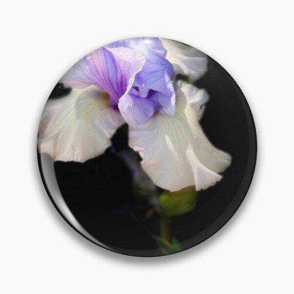 Item preview, Ruffled Purple and White Iris On Black flower photograph designed and sold by art64.