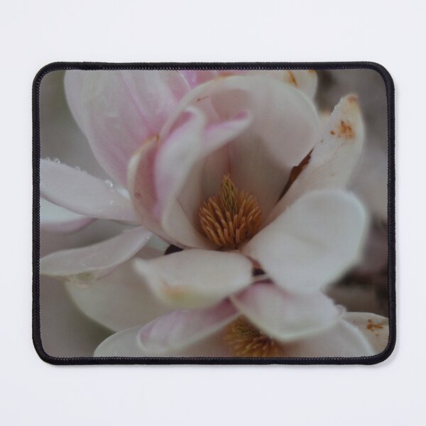 Item preview, Magnolia designed and sold by kry.ative.